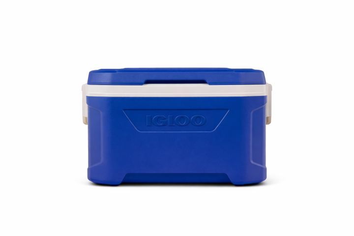 Blue portable cooler with a white lid and handle.