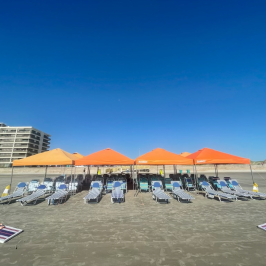 Orange tents and beach chairs on a sandy beach under a clear blue sky.