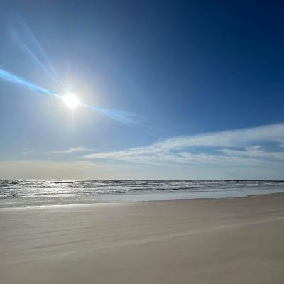 Sunny beach with clear blue sky and gentle waves.