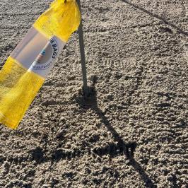 Yellow mesh bag hanging on a pole in sandy terrain.
